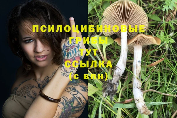прущая мука Верея