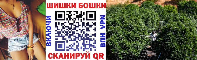 Бошки Шишки план  Волоколамск 